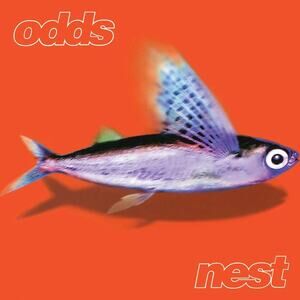 Nest by The Odds (CD, Jan-1997, Elektra (Label))